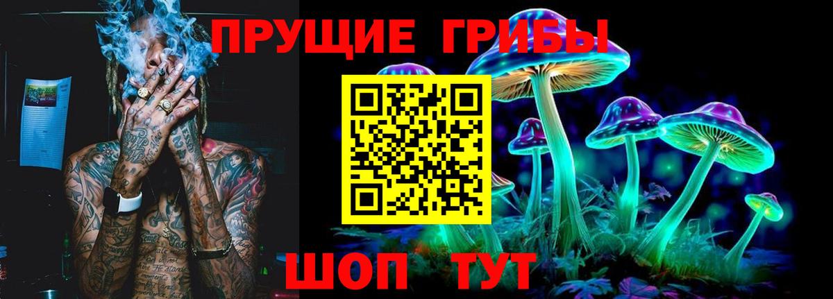 Нижний Тагил  Псилоцибиновые грибы прущие грибы  Вход с VPN 
